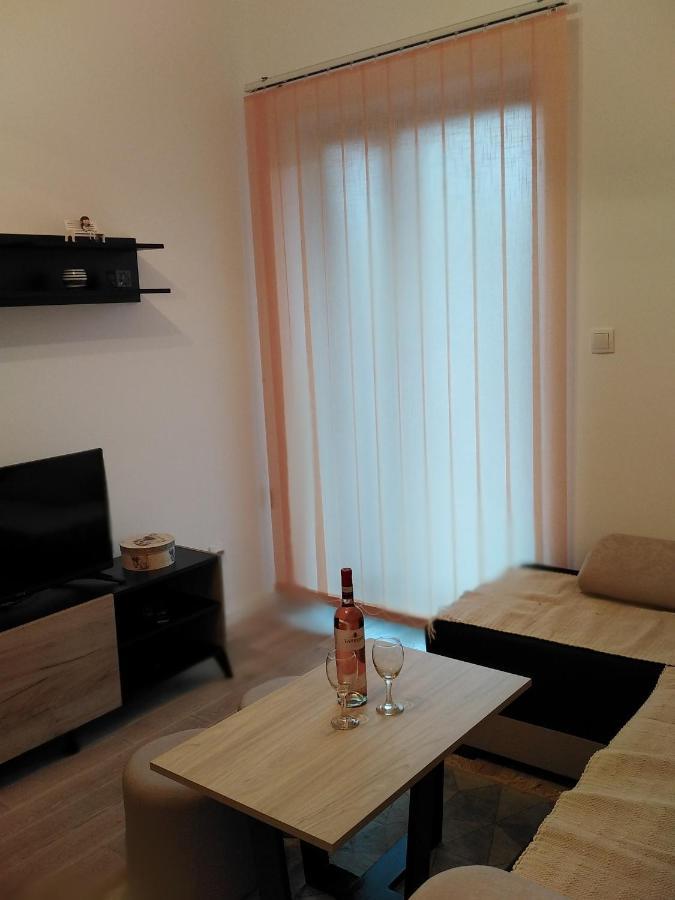 Apartman Tia Vrnjačka Banja מראה חיצוני תמונה