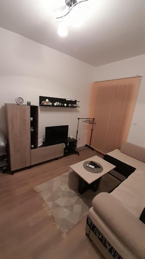 Apartman Tia Vrnjačka Banja מראה חיצוני תמונה
